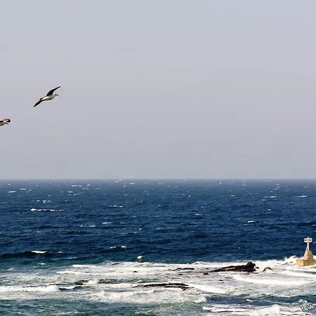 Maria Апарт-отель Царёво