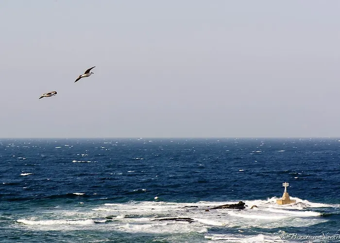 Maria Aparthotel Tsarevo